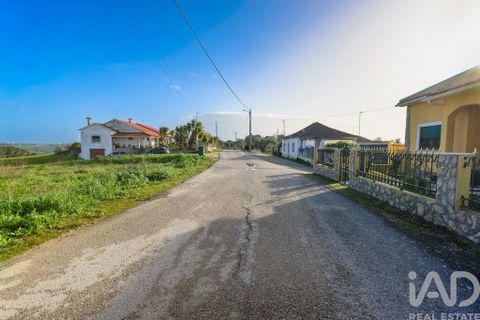 Terra a Santarem, Santarem, Santarem - € 60.000 | Ref: 799321 - foto 9