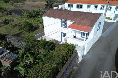 Radhus i Lajes do Pico, Pico, Lajes do Pico - € 179 000 | Ref: 797823 - foto 20