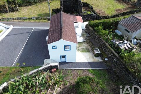 Radhus i Lajes do Pico, Pico, Lajes do Pico - € 179 000 | Ref: 797823 - foto 23