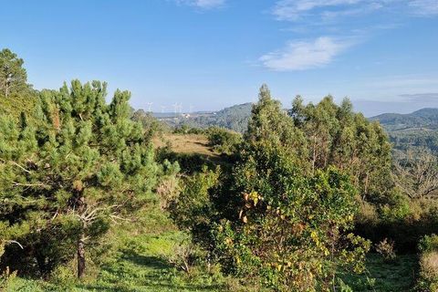 Terra a Mafra, Lisbon, Mafra - € 98.000 | Ref: 129986 - foto 3