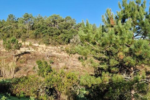 Terra a Mafra, Lisbon, Mafra - € 98.000 | Ref: 129986 - foto 5
