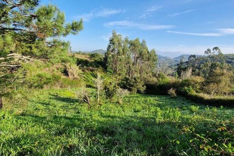Terra a Mafra, Lisbon, Mafra - € 98.000 | Ref: 129986 - foto 6