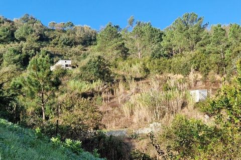 Terra a Mafra, Lisbon, Mafra - € 98.000 | Ref: 129986 - foto 8