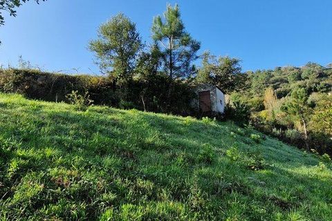 Terra a Mafra, Lisbon, Mafra - € 98.000 | Ref: 129986 - foto 9