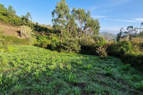 Terra a Mafra, Lisbon, Mafra - € 98.000 | Ref: 129986 - foto 10