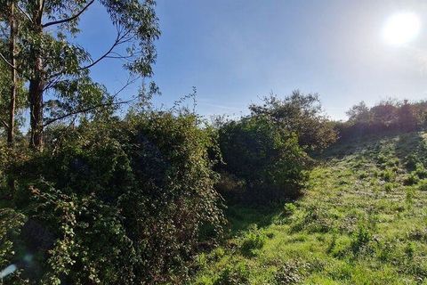 Terra a Mafra, Lisbon, Mafra - € 98.000 | Ref: 129986 - foto 11