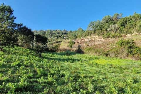 Terra a Mafra, Lisbon, Mafra - € 98.000 | Ref: 129986 - foto 12