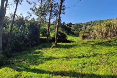 Terra a Mafra, Lisbon, Mafra - € 98.000 | Ref: 129986 - foto 13