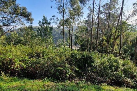 Terra a Mafra, Lisbon, Mafra - € 98.000 | Ref: 129986 - foto 15