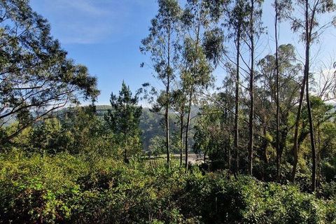 Terra a Mafra, Lisbon, Mafra - € 98.000 | Ref: 129986 - foto 16