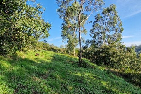 Terra a Mafra, Lisbon, Mafra - € 98.000 | Ref: 129986 - foto 17