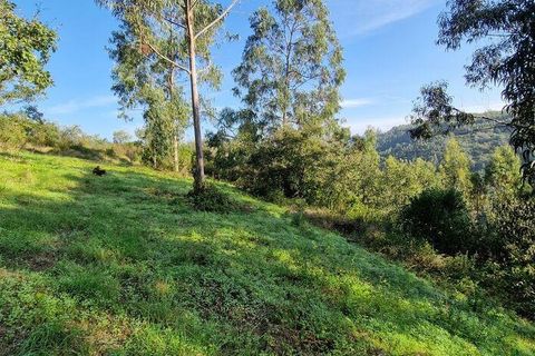 Terra a Mafra, Lisbon, Mafra - € 98.000 | Ref: 129986 - foto 18