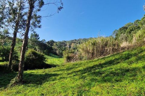 Terra a Mafra, Lisbon, Mafra - € 98.000 | Ref: 129986 - foto 19