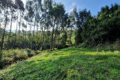 Terra a Mafra, Lisbon, Mafra - € 98.000 | Ref: 129986 - foto 20