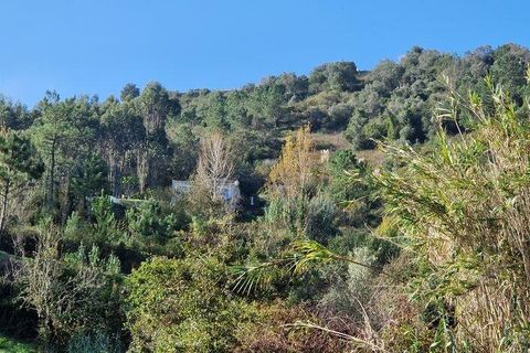Terra a Mafra, Lisbon, Mafra - € 98.000 | Ref: 129986 - foto 21