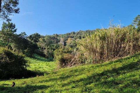 Terra a Mafra, Lisbon, Mafra - € 98.000 | Ref: 129986 - foto 22