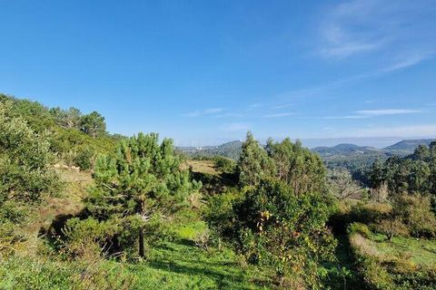 Terra a Mafra, Lisbon, Mafra - € 98.000 | Ref: 129986 - foto 23