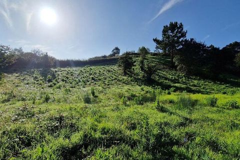 Terra a Mafra, Lisbon, Mafra - € 98.000 | Ref: 129986 - foto 24
