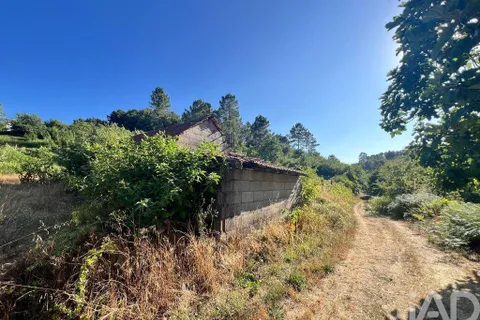 Farm i Amarante, Porto, Amarante - € 245.000 | Ref: 786339 - foto 3