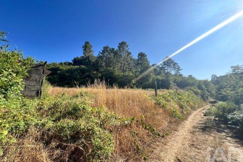 Farm i Amarante, Porto, Amarante - € 245.000 | Ref: 786339 - foto 4