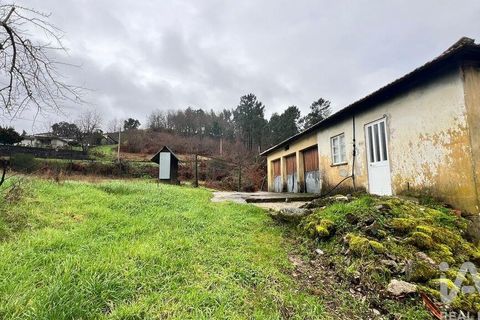 Farm i Amarante, Porto, Amarante - € 245.000 | Ref: 786339 - foto 5