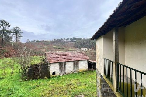 Farm i Amarante, Porto, Amarante - € 245.000 | Ref: 786339 - foto 10