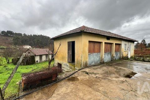 Farm i Amarante, Porto, Amarante - € 245.000 | Ref: 786339 - foto 12
