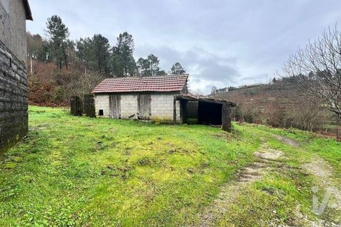 Farm i Amarante, Porto, Amarante - € 245.000 | Ref: 786339 - foto 16