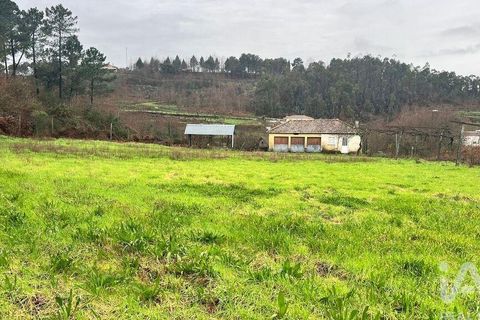 Farm i Amarante, Porto, Amarante - € 245.000 | Ref: 786339 - foto 17