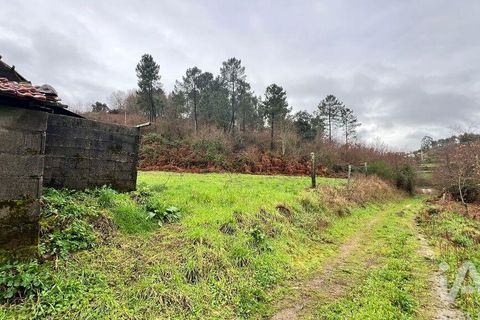 Farm i Amarante, Porto, Amarante - € 245.000 | Ref: 786339 - foto 29