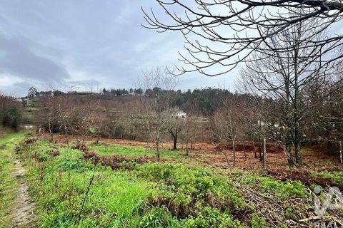 Farm i Amarante, Porto, Amarante - € 245.000 | Ref: 786339 - foto 30