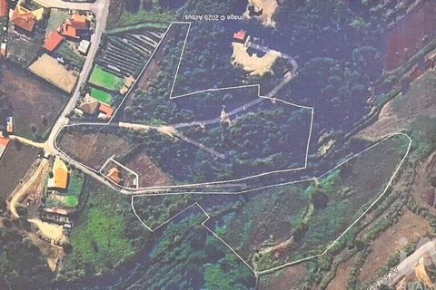Farm i Amarante, Porto, Amarante - € 245.000 | Ref: 786339 - foto 31