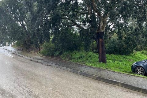 Terra a Setubal, Setubal, Setubal - € 325.000 | Ref: 810639 - foto 4