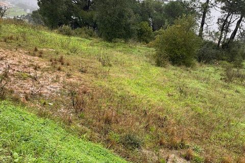 Terra a Setubal, Setubal, Setubal - € 325.000 | Ref: 810639 - foto 6
