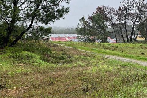 Terra a Setubal, Setubal, Setubal - € 325.000 | Ref: 810639 - foto 7