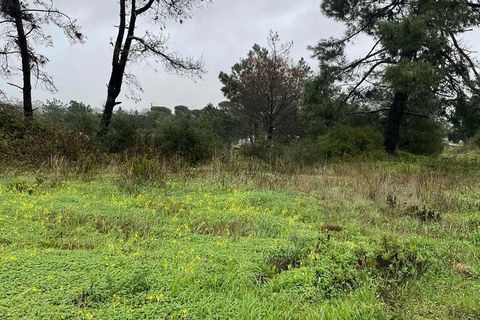 Terra a Setubal, Setubal, Setubal - € 325.000 | Ref: 810639 - foto 9