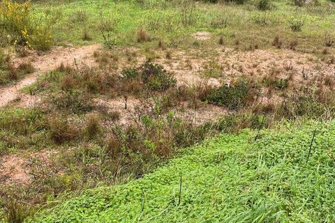 Terra a Setubal, Setubal, Setubal - € 325.000 | Ref: 810639 - foto 10