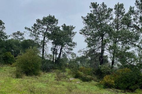 Terra a Setubal, Setubal, Setubal - € 325.000 | Ref: 810639 - foto 11