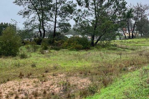 Terra a Setubal, Setubal, Setubal - € 325.000 | Ref: 810639 - foto 12