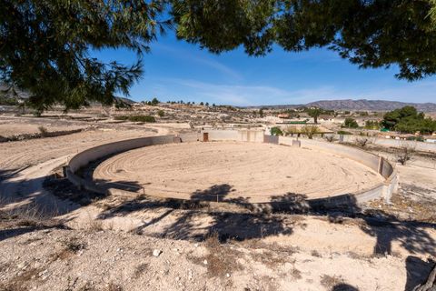 Villa i Monovar, Alicante, Monovar - € 395 000 | Ref: 2376 - foto 45