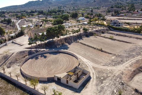 Villa i Monovar, Alicante, Monovar - € 395 000 | Ref: 2376 - foto 46