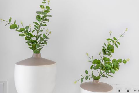 Byhus i Rafal, Alicante, Rafal - € 269.000 | Ref: 2467 - foto 10