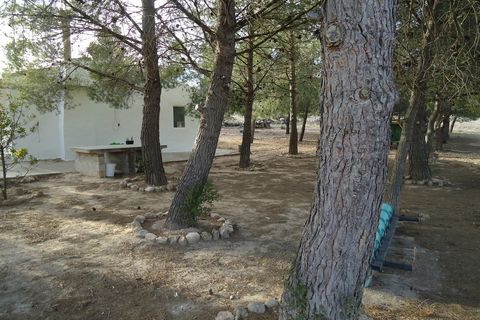 Landejendom i Yecla, Murcia, Yecla - € 210.000 | Ref: RP09 - foto 17