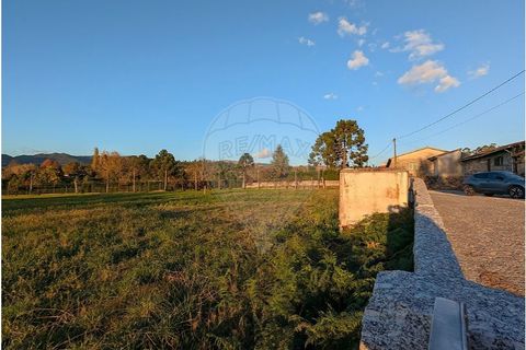 Helårsgrund i Braga, Braga, Braga - € 59.500 | Ref: 123331119-54 - foto 5