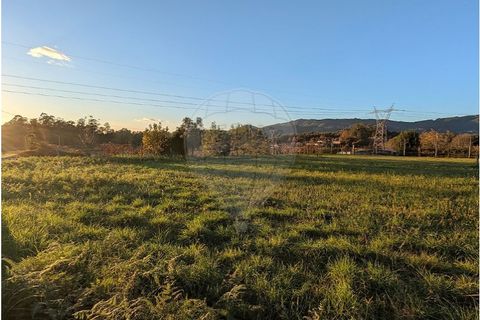 Helårsgrund i Braga, Braga, Braga - € 59.500 | Ref: 123331119-54 - foto 4