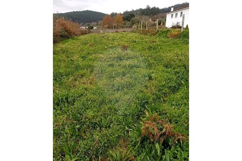 Helårsgrund i Valenca, Viana do Castelo, Valenca - € 40.000 | Ref: 123331212-85 - foto 5