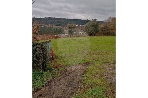 Helårsgrund i Valenca, Viana do Castelo, Valenca - € 40.000 | Ref: 123331212-85 - foto 8