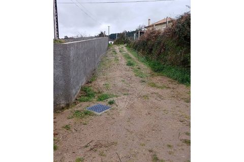 Helårsgrund i Valenca, Viana do Castelo, Valenca - € 40.000 | Ref: 123331212-85 - foto 14