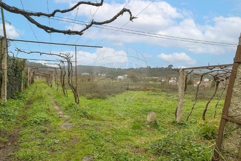 Villa a Fontoura, Viana do Castelo, Fontoura - € 190.000 | Ref: 123331184-7 - foto 10