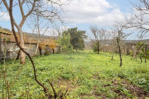 Villa a Fontoura, Viana do Castelo, Fontoura - € 190.000 | Ref: 123331184-7 - foto 11